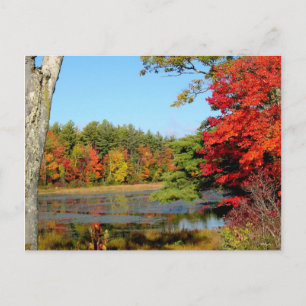 Herfst kleur in New England Briefkaart