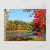 Herfst kleur in New England Briefkaart (Voorkant)