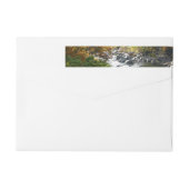 Herfst Kleur in Ohiopyle State Park (Achterkant)