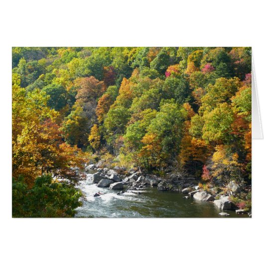 Herfst Kleur in Ohiopyle State Park (Voorkant Horizontaal)