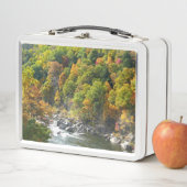 Herfst Kleur in Ohiopyle State Park (In situ)