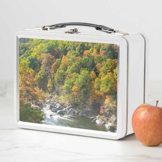 Herfst Kleur in Ohiopyle State Park (In situ)