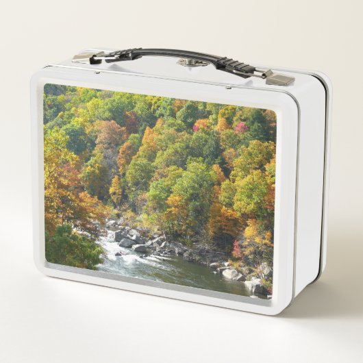 Herfst Kleur in Ohiopyle State Park (Achterkant)