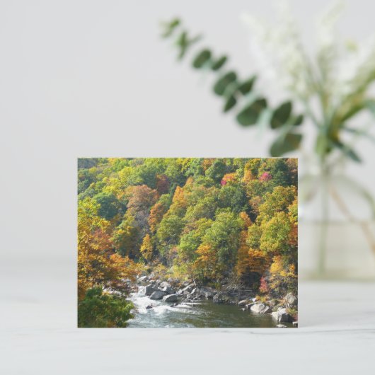Herfst Kleur in Ohiopyle State Park (Staand voorkant)