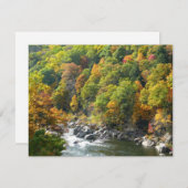 Herfst Kleur in Ohiopyle State Park (Voorkant / Achterkant)