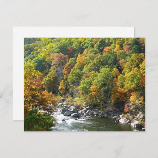 Herfst Kleur in Ohiopyle State Park (Voorkant / Achterkant)