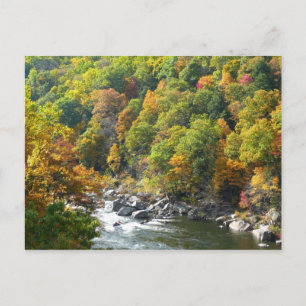 Herfst Kleur in Ohiopyle State Park Briefkaart