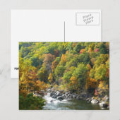 Herfst Kleur in Ohiopyle State Park Briefkaart (Voorkant / Achterkant)