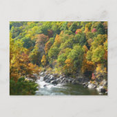 Herfst Kleur in Ohiopyle State Park Briefkaart (Voorkant)