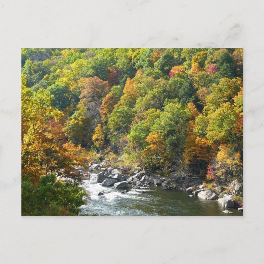 Herfst Kleur in Ohiopyle State Park Briefkaart (Voorkant)