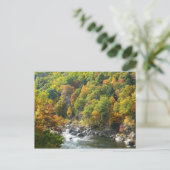 Herfst Kleur in Ohiopyle State Park Briefkaart (Staand voorkant)