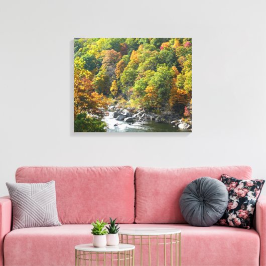 Herfst Kleur in Ohiopyle State Park Canvas Afdruk (Insitu (Woonkamer))