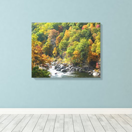 Herfst Kleur in Ohiopyle State Park Canvas Afdruk (Insitu (Houten vloer))