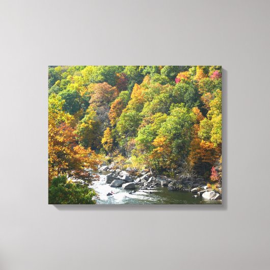 Herfst Kleur in Ohiopyle State Park Canvas Afdruk (Voorkant)