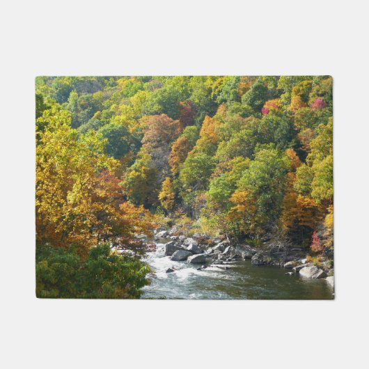 Herfst Kleur in Ohiopyle State Park Deurmat (Voorkant)