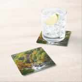 Herfst Kleur in Ohiopyle State Park Kartonnen Onderzetters (Insitu)