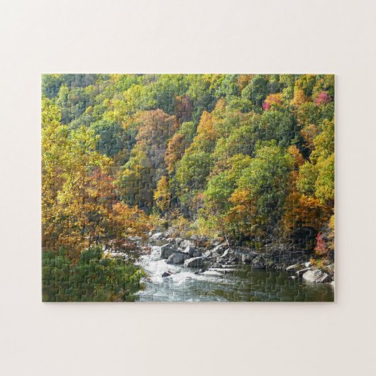 Herfst Kleur in Ohiopyle State Park Legpuzzel (Horizontaal)