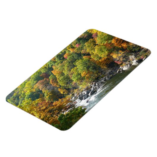 Herfst Kleur in Ohiopyle State Park Magneet (Linkerzijde)