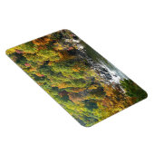 Herfst Kleur in Ohiopyle State Park Magneet (Rechterzijde)