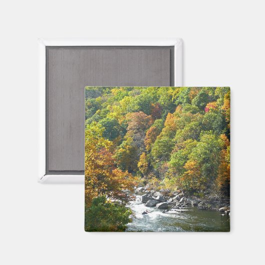 Herfst Kleur in Ohiopyle State Park Magneet (Voorkant / Achterkant)