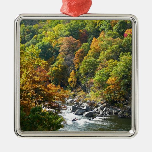 Herfst Kleur in Ohiopyle State Park Metalen Ornament (Voorkant)