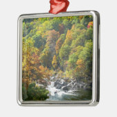 Herfst Kleur in Ohiopyle State Park Metalen Ornament (Links)