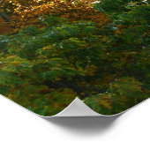 Herfst Kleur in Ohiopyle State Park Poster (Hoek)