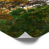 Herfst Kleur in Ohiopyle State Park Poster (Hoek)