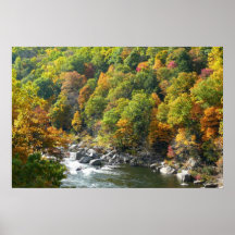 Herfst Kleur in Ohiopyle State Park