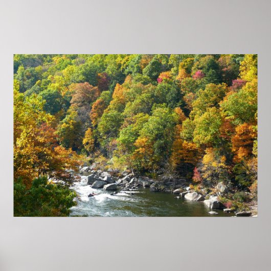 Herfst Kleur in Ohiopyle State Park Poster (Voorkant)