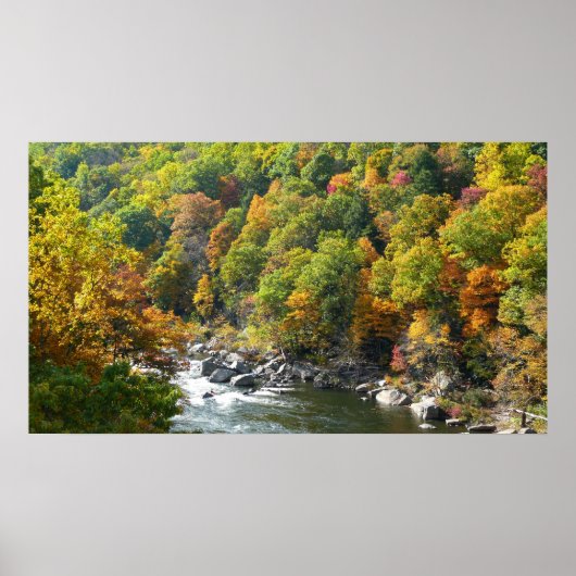 Herfst Kleur in Ohiopyle State Park Poster (Voorkant)