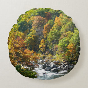 Herfst Kleur in Ohiopyle State Park Rond Kussen