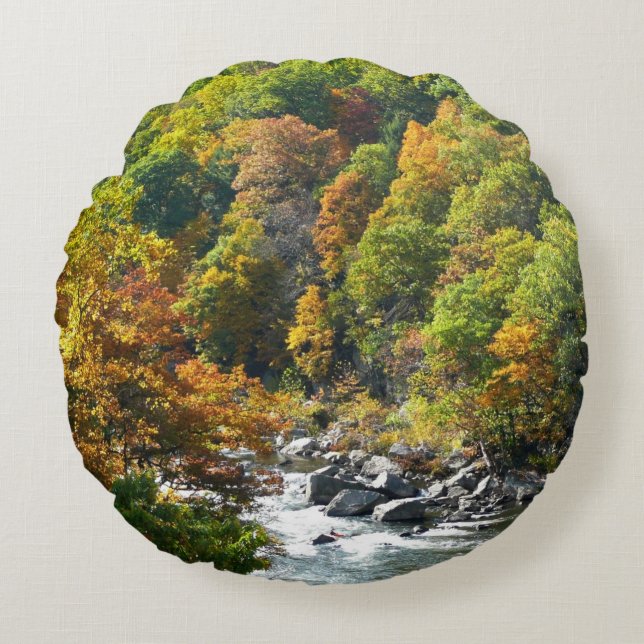 Herfst Kleur in Ohiopyle State Park Rond Kussen (Voorkant)