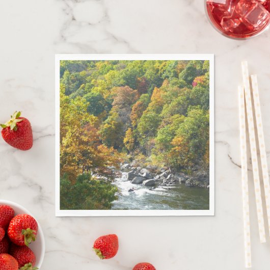 Herfst Kleur in Ohiopyle State Park Servetten (Insitu)