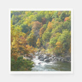 Herfst Kleur in Ohiopyle State Park Servetten (Voorkant)