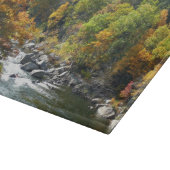 Herfst Kleur in Ohiopyle State Park Snijplank (Hoek)