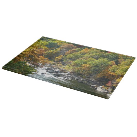 Herfst Kleur in Ohiopyle State Park Snijplank (Hoek)