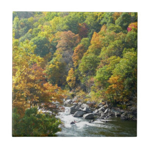 Herfst Kleur in Ohiopyle State Park Tegeltje