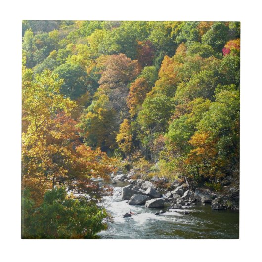 Herfst Kleur in Ohiopyle State Park Tegeltje (Voorkant)