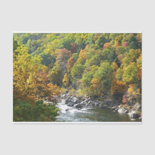 Herfst Kleur in Ohiopyle State Park Tissuepapier (Voorkant)