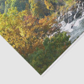 Herfst Kleur in Ohiopyle State Park Tissuepapier (Detail)