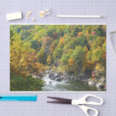 Herfst Kleur in Ohiopyle State Park Tissuepapier (Craft)