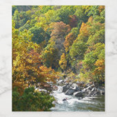 Herfst Kleur in Ohiopyle State Park Wijn Etiket (Enkel label)