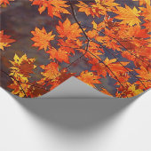 Herfst Kleur Japanse apel lekt Cadeaupapier (Hoek)