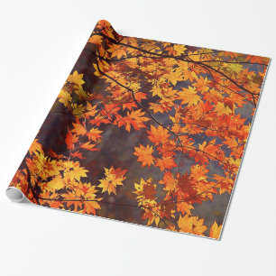 Herfst Kleur Japanse apel lekt Cadeaupapier