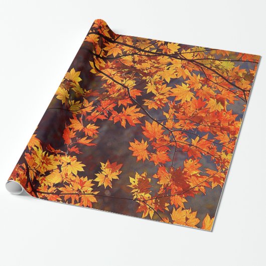 Herfst Kleur Japanse apel lekt Cadeaupapier (Uitgerold)