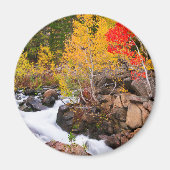 Herfst kleur langs bisschop Creek, CA Magneet (Voorkant)