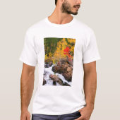 Herfst kleur langs bisschop Creek, CA T-shirt (Voorkant)
