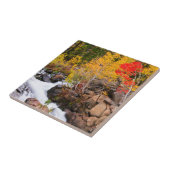 Herfst kleur langs bisschop Creek, CA Tegeltje (Zijkant)
