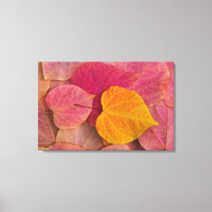 Herfst kleur op neergevallen bospijlstaaf canvas afdruk